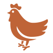 Icon of chicken